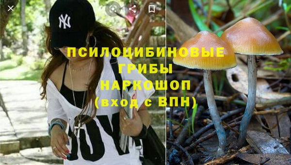 гашишное масло Лабытнанги