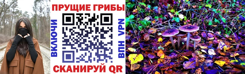 Псилоцибиновые грибы MAGIC MUSHROOMS  Нолинск 